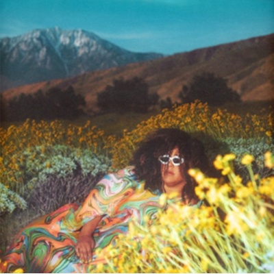 Brittany Howard - What Now - black LP