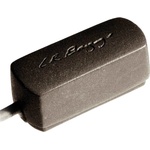 L. R. Baggs Radius Адаптер за китара (RADIUS M)
