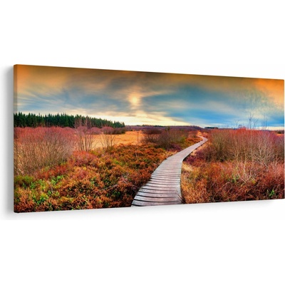 Obraz - Podzimní cesta krajinou, jednodílný 200x100 cm – Hledejceny.cz
