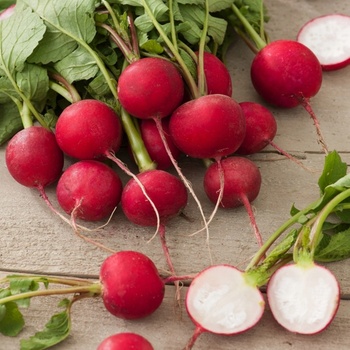 Semená zmes rastlín Rowa 12 g