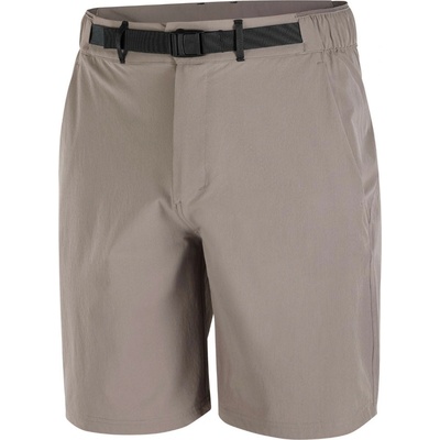Salomon Wayfarer 2.0 short šedá