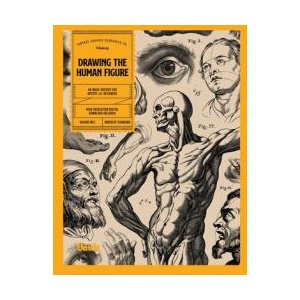 Drawing the Human Figure (ISBN: 9781922966094)