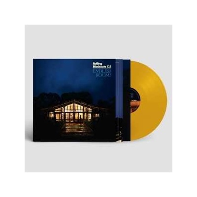 Rolling Blackouts Coastal Fever - Endless Rooms LP