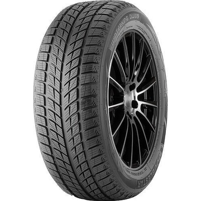 DoubleStar DW09 255/55 R20 107H