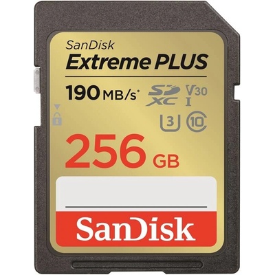 SanDisk Class 10 SDXC 256GB SDSDXWV-256G-GNCIN