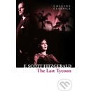 The Last Tycoon