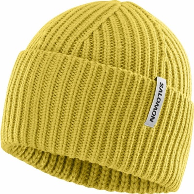 Salomon Snowbird beanie LC2629500 cress green