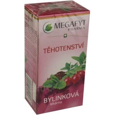 MEGAFYT Bylinková lekáreň Tehotenstvo porciovaný čaj 20 x 1,5 g
