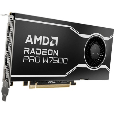AMD Radeon PRO W7500 8GB GDDR6 100-300000078