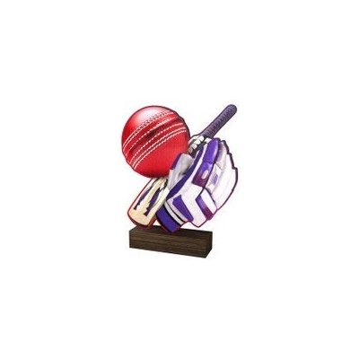 Poháry Bauer Dřevěná plaketa WF142 Cricket