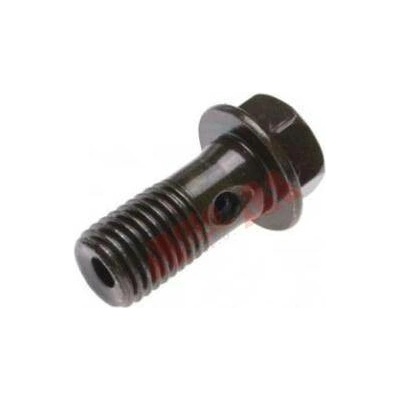 Tlakový šroub brzdové hadice M10x1 mm x 22 mm – Sleviste.cz