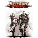 Divinity: Original Sin (Enhanced Edition)