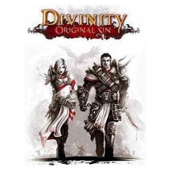 Divinity: Original Sin (Enhanced Edition)