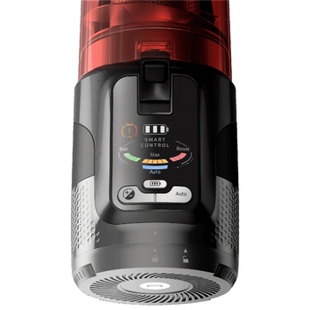 Rowenta X-Force Flex 13.60 Animal (RH9A73WO)