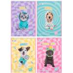 Kite Скицник Kite Studio Pets A4 спирала 30 л. 100 g (1113033-SP24-243)