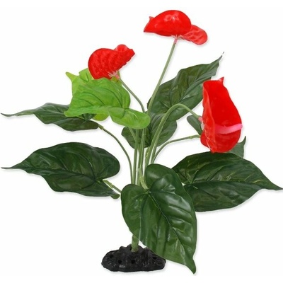 Rostlina REPTI PLANET kvetoucí Anthurium 40 cm