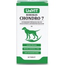 Univit Roboran Chondro 7 pro psy 60 tbl