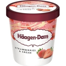 Häagen-Dazs Jahodová zmrzlina smetanová s kousky jahod 460ml