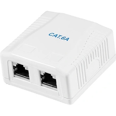 LogiLink РОЗЕТКА STP, Cat. 6A за Стена, Двойна, NP0097 (NP0097)