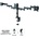 NewStar Neomounts NM-D135D3