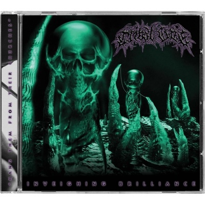 Tribal Gaze - Inveghing Brilliance CD
