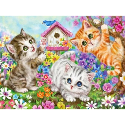 Norimpex Diamantové malování Kočičí parta 30 x 40 cm