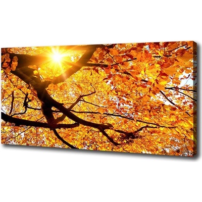 Moderný obraz canvas na ráme Koruna stromov jeseň 100x50 cm