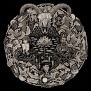 Flailing Tomb Petrels LP