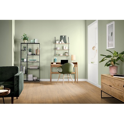 Egger Basic Dub elva medový EL2096 2.00 m²