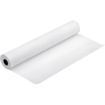 Epson C13S041387