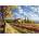 Dino - Puzzle Painted vineyard - 500 piese