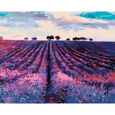 Zuty Levandulové pole a stromy v dáli 80 x 100 cm vypnuté plátno na rám 8596530052838