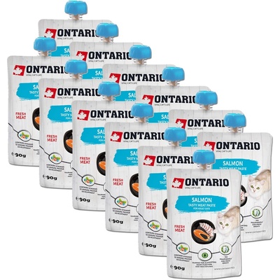 ONTARIO Cat сьомга вкусна месна паста 12 x 90 г