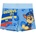 Cerda Бански paw patrol