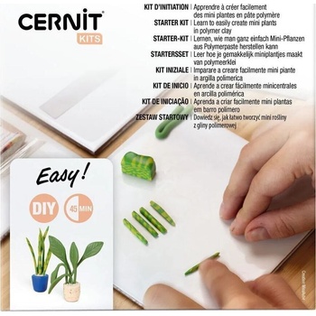Cernit Starter Kit Полимерна глина (CEKIT002C)