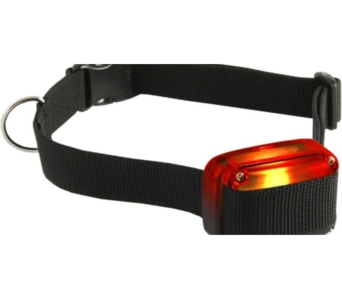 DogTrace d-control 1040