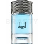 Dunhill Signature Collection - Nordic Fougere EDP 100 ml Парфюми