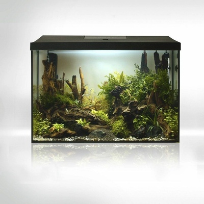 Aquael Leddy Day & Night 60 XL akvarijní set 72 l – Zboží Dáma