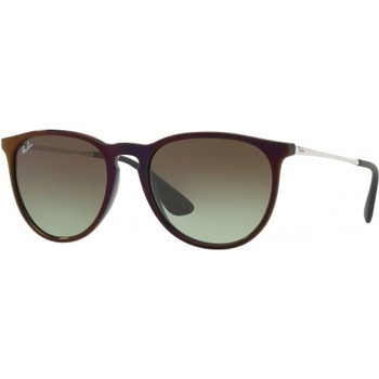 Ray-Ban RB4171 6316E8
