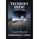 Techniky snění - Arnold Mindell