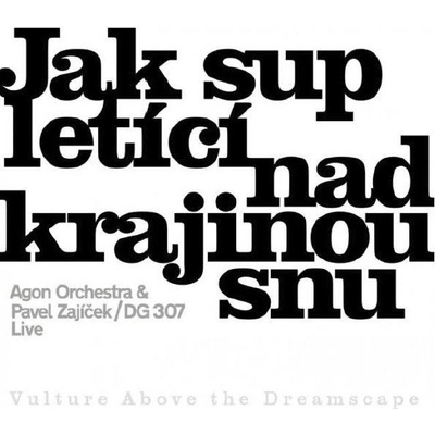 AGON ORCHESTRA & PAVEL ZAJICEK - JAK SUP LETICI NAD KRAJINOU SNU CD