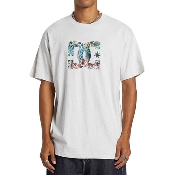 DC Star Fill Hss SCVW/Snow Heather