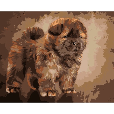 Zuty Malování podle čísel ŠTĚNÁTKO CHOW CHOW