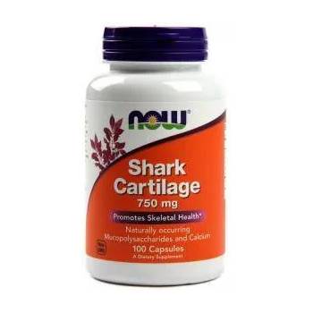 NOW Хрущял от акула 750 мг. - Shark Cartilage - 100 капсули - NOW FOODS, NF3270