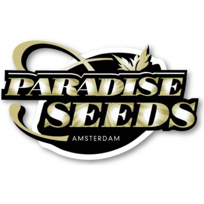 Paradise Seeds Kong 4 AUTO semienka neobsahujú THC 3 ks