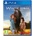 Mindscape Windstorm An Unexpected Arrival (PS4)