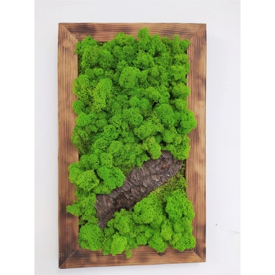 Machový obraz s prírodným drevom 60cm x 40cm