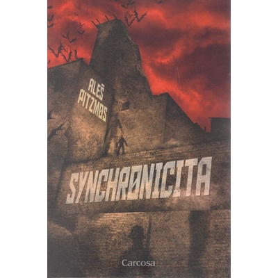 Synchronicita - Aleš Pitzmos kniha: Bez podpisu