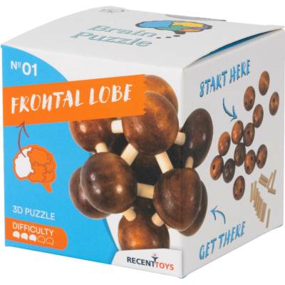 RecentToys Brain Puzzle 1 Čelní lalok