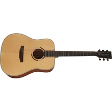 Tanglewood TS5